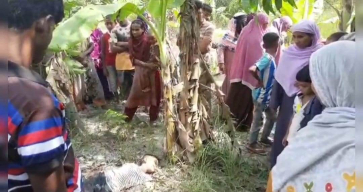 নারায়ণগঞ্জের রূপগঞ্জে অজ্ঞাত শিশুর মরদেহ উদ্ধার নারায়ণগঞ্জের রূপগঞ্জে অজ্ঞাত শিশুর মরদেহ উদ্ধার