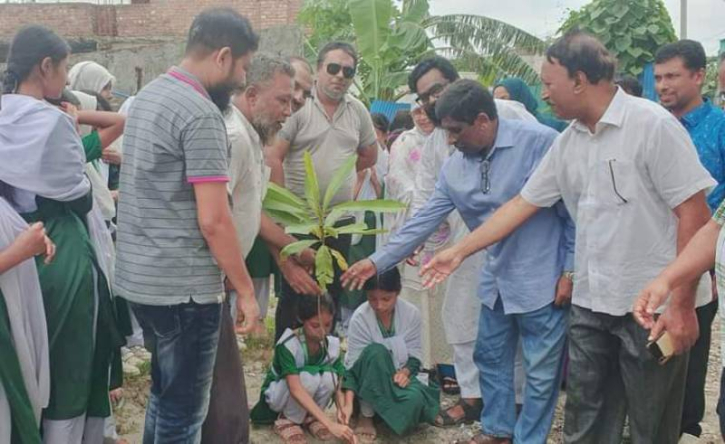 বন্দর প্রেসক্লাবের উদ্যোগে বৃক্ষ রোপন বন্দর প্রেসক্লাবের উদ্যোগে বৃক্ষ রোপন