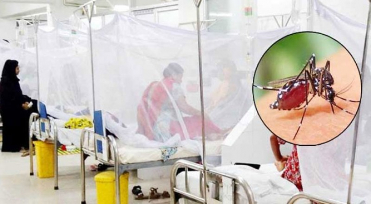 ডেঙ্গুতে ৩ জনের মৃত্যু, হাসপাতালে ভর্তি ৪০৯