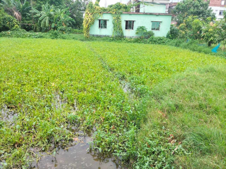 সিদ্ধিরগঞ্জে সম্পত্তির জেরে মুক্তিযুদ্ধার স্ত্রীকে প্রাণনাশের হুমকি, থানায় অভিযোগ সিদ্ধিরগঞ্জে সম্পত্তির জেরে মুক্তিযুদ্ধার স্ত্রীকে প্রাণনাশের হুমকি, থানায় অভিযোগ