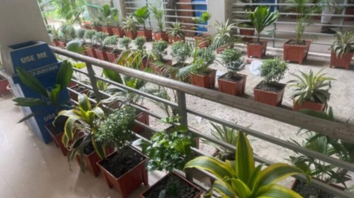 গ্রীন এন্ড ক্লিন নারায়ণগঞ্জ কর্মসূচির আওতায় পরিচ্ছন্ন ও সবুজ রূপগঞ্জ বাস্তবায়ন অব্যাহত গ্রীন এন্ড ক্লিন নারায়ণগঞ্জ কর্মসূচির আওতায় পরিচ্ছন্ন ও সবুজ রূপগঞ্জ বাস্তবায়ন অব্যাহত