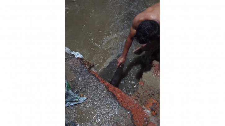 বৃষ্টিতে জলাবদ্ধতা নিরসনে রাতেও সক্রিয় খোরশেদ বৃষ্টিতে জলাবদ্ধতা নিরসনে রাতেও সক্রিয় খোরশেদ
