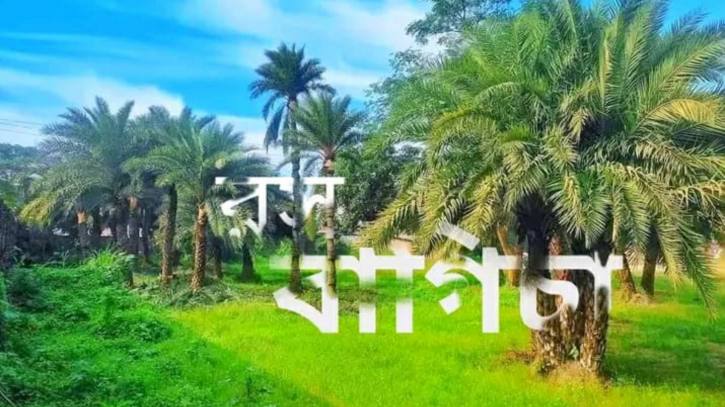 না.গঞ্জে শীতে খেজুরের রস নিয়ে খেজুর বাগিচার আয়োজন 