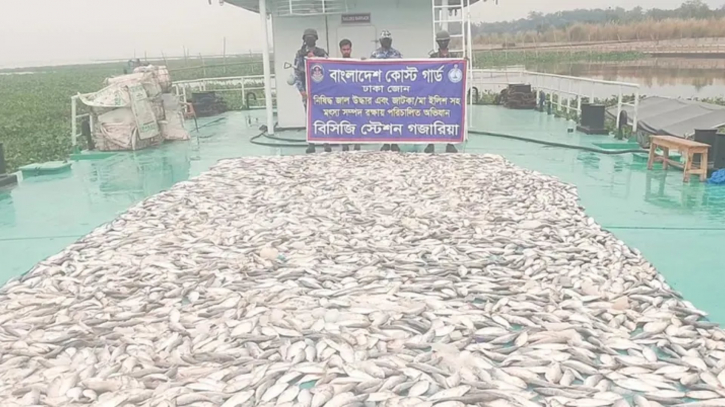 কোস্টগার্ডের অভিযানে ২৮ লাখ টাকার জাটকা জব্দ