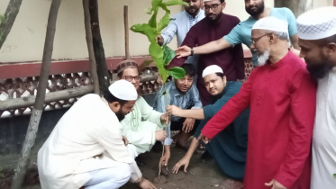 প্রত্যেক নাগরিকের উচিৎ একটি হলেও গাছ রোপণ করা : আবদুল জব্বার