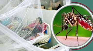 ডেঙ্গুতে একজনের মৃত্যু, আক্রান্ত ৩৫৮
