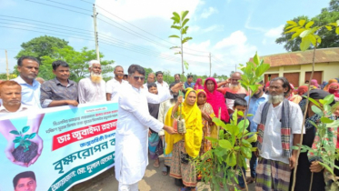 ডাক্তার জোবাইদা রহমানের জন্মদিনে রূপগঞ্জে বৃক্ষরোপন