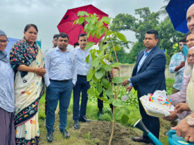 জালকুড়িতে জেলা প্রশাসনের উদ্যোগে বৃক্ষরোপণ 