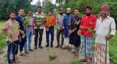 মুন্সিগঞ্জে সবুজ কুঁড়ি বাংলাদেশের ২’শ গাছের চারা বিতরণ