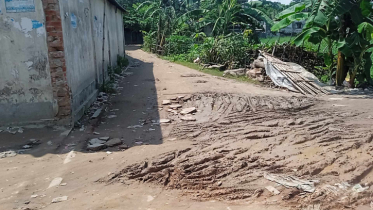 সোনারগাঁ উপজেলার কাশিপুর গ্রামের রাস্তার বেহাল দশা