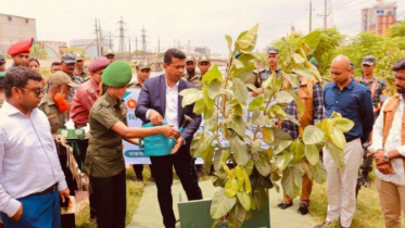 সোনারগাঁওয়ে ১০ হাজারতম চারা রোপণ করলেন নারায়ণগঞ্জ ডিসি