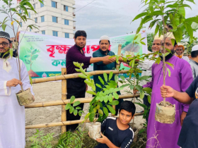 জামায়াতের উদ্যােগে বৃক্ষ রোপন কর্মসূচি  