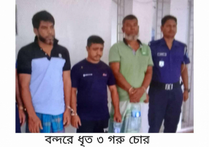 বন্দরে গরুসহ ৩ চোর আটক