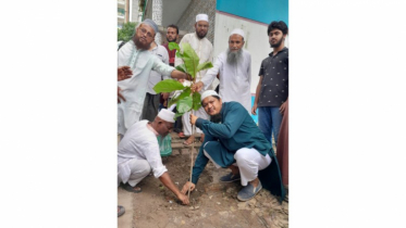 গাছ রোপন করলেই হবে না, পরিচর্যা করতে হবে: আবদুল জব্বার