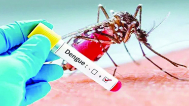 ডেঙ্গুতে একদিনেই ৯ জনের মৃত্যু, হাসপাতালে ভর্তি ১০৪২