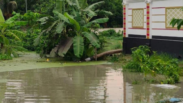 সোনারগাঁয়ে সরকারী জমিতে বালু ভরাট করে শ্রেণী পরিবর্তনের অভিযোগ