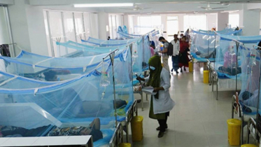 ডেঙ্গুতে ৮ জনের মৃত্যু