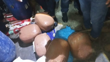 ফতুল্লায় যৌথবাহিনীর অভিযানে ৪০ কেজি গাজাসহ দুই মাদক ব্যবসায়ী গ্রেফতার