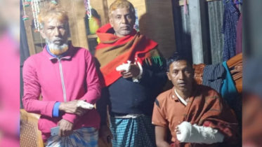 কৃষকের গরু-ছাগল নিয়ে গেল ডাকাত দল, ছুরিকাঘাতে আহত ৪