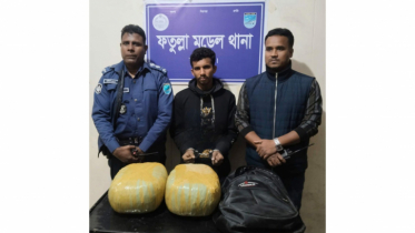 ফতুল্লায় আট কেজি গাঁজাসহ গ্রেপ্তার ১
