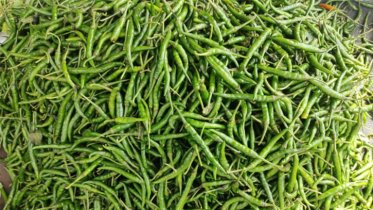 কাঁচা মরিচের কেজি ৪৫০!