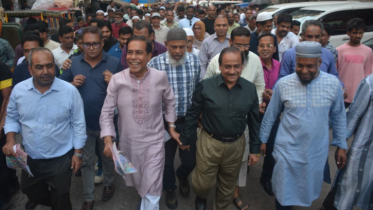 ধানের শীষের গণসংযোগ মাসুদুজ্জামানের 