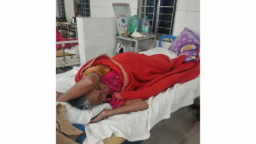 সোনারগাঁয়ে ছেলের কাছে পাওনা টাকা না পেয়ে বৃদ্ধা মায়ের ওপর হামলা