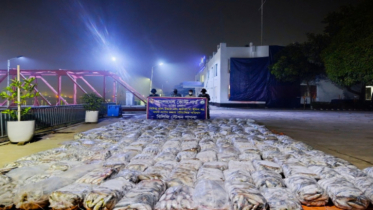 নারায়ণগঞ্জের কাঁচপুরে ১০ হাজার কেজি জাটকা জব্দ