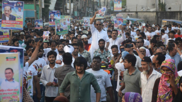 দল যাকে নমিনেশন দিবে তার পক্ষে ভোট চাইবো: বাবুল