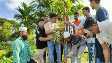 সোনারগাঁয়ে বিএনপির বৃক্ষরোপণ কর্মসূচি