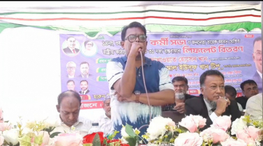 আমাদের লুঙ্গির নিচে একটি দল ছিল, ঘাড়ে চড়ে রাজনীতি করেছে : রেজা রিপন 