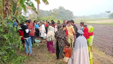 সোনারগাঁয়ে অটোচালককে হত্যা 