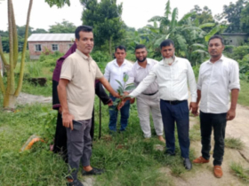 আড়াইহাজারে বৃক্ষরোপণ কর্মসূচি ও আলোচনা সভা
