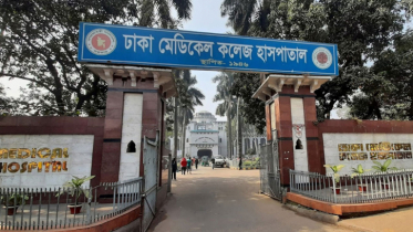 নারায়ণগঞ্জে ঘাস কাটতে গিয়ে সাপের কামড়ে এক ব্যক্তির মৃত্যু