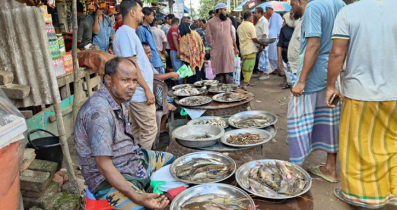 সোনারগাঁওয়ে ছোট মাছের বড় বাজার বৈদ্যেরবাজার ফিশারি ঘাট