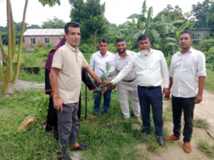 আড়াইহাজারে বৃক্ষরোপণ কর্মসূচি ও আলোচনা সভা আড়াইহাজারে বৃক্ষরোপণ কর্মসূচি ও আলোচনা সভা