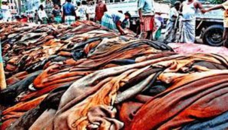 মৌসুমি কসাইয়ের ছড়াছড়ি, ১৫ শতাংশ চামড়া নষ্টের আশঙ্কা সংশ্লিষ্টদের মৌসুমি কসাইয়ের ছড়াছড়ি, ১৫ শতাংশ চামড়া নষ্টের আশঙ্কা সংশ্লিষ্টদের