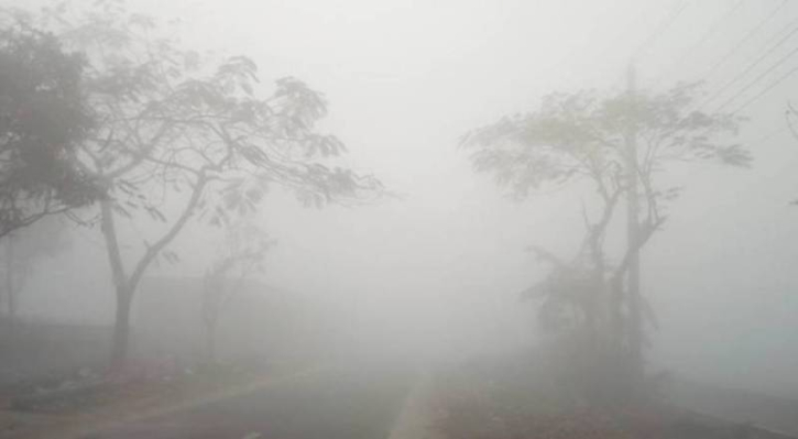 নারায়ণগঞ্জে জেঁকে বসেছে শীত, দেখা নেই সূর্যের নারায়ণগঞ্জে জেঁকে বসেছে শীত, দেখা নেই সূর্যের