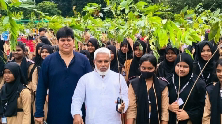 এই গাছ আমাদের অক্সিজেন দিবে, জীবন বাঁচাবে ও দেশ বাঁচাবে: এমপি মান্নান 