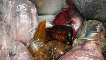 বন্দরে ভ্রাম্যমান আদালতের অভিযানে ক্যাফে শাহ পরান হোটেলকে ১৫ হাজার টাকা অর্থদন্ড
