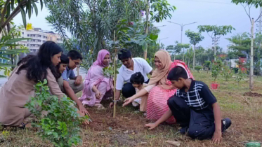 এক ব্যতিক্রমী জন্মদিনের গল্প: রক্তদান, বৃক্ষরোপণ আর মানবিকতার শিক্ষা