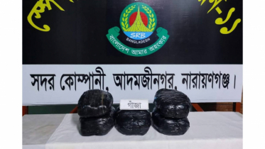 বন্দর থেকে ১০ কেজি গাঁজাসহ ২ মাদক কারবারি গ্রেপ্তার