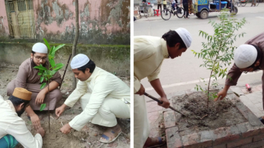 ইসলামী ছাত্র আন্দোলনের বৃক্ষরোপণ কর্মসূচি