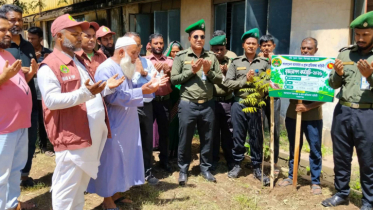 আড়াইহাজারে আনসার-ভিডিপির বৃক্ষরোপণ কর্মসূচির উদ্বোধন