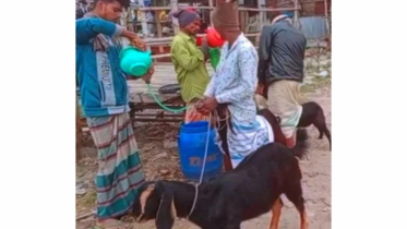 গলায় নল ঢুকিয়ে পানি খাওয়াতে গিয়ে ছাগলের মৃত্যু, গ্রেপ্তার ২