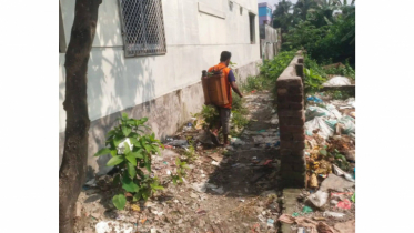 ডেঙ্গু প্রতিরোধে সচেতনতার আহ্বান, মশক নিধন কার্যক্রম অব্যাহত
