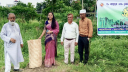 পরিবেশ বান্ধব 