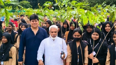 এই গাছ আমাদের অক্সিজেন দিবে, জীবন বাঁচাবে ও দেশ বাঁচাবে: এমপি মান্নান 