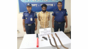 সিদ্ধিরগঞ্জে অস্ত্র-মাইক্রোবাসসহ ডাকাত গ্রেপ্তার সিদ্ধিরগঞ্জে অস্ত্র-মাইক্রোবাসসহ ডাকাত গ্রেপ্তার