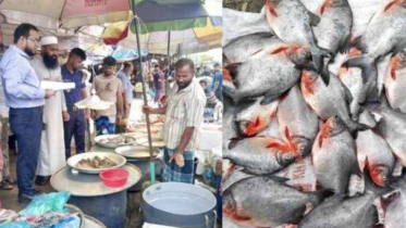 ফতুল্লায় ২৫ কেজি নিষিদ্ধ পিরানহা মাছ জব্দ